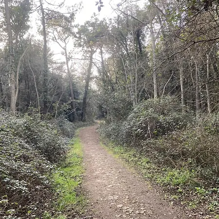 Alona-maison De Standing Proche Commerces Et Plages بيت للعطل