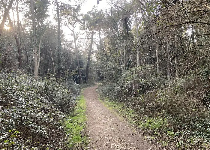 Alona-maison De Standing Proche Commerces Et Plages Casa de Férias